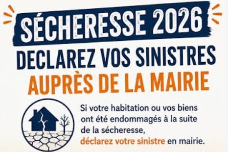 🌳 CATASTROPHE NATURELLE – SÉCHERESSE ☀️